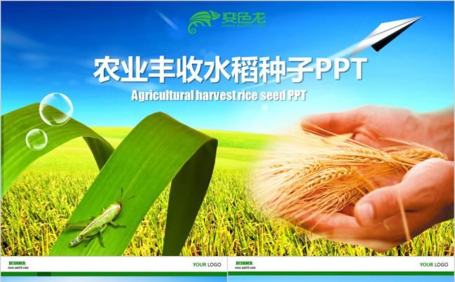 色彩鲜艳农业丰收水稻种子产品介绍PPT模版缩略图