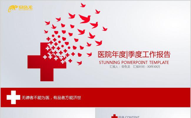 飞翔的和平鸽-扁平红色医疗卫生系统总结报告PPT模板缩略图