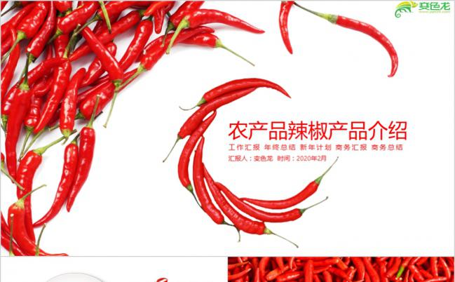 时尚简约红色农产品辣椒产品介绍动态PPT模板缩略图