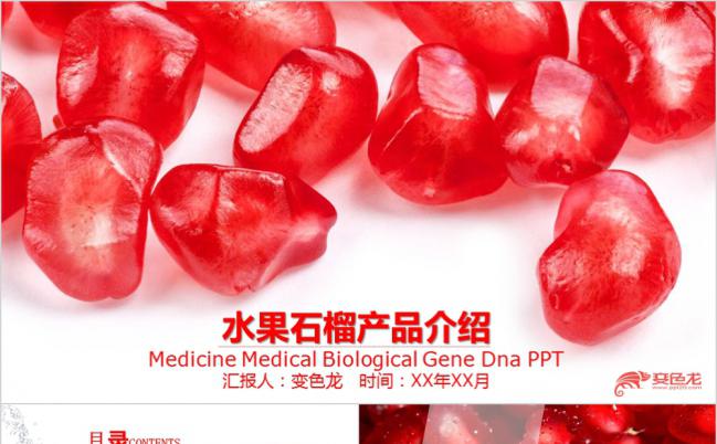 2019简洁实用农产品水果石榴产品介绍通用PPT模板缩略图