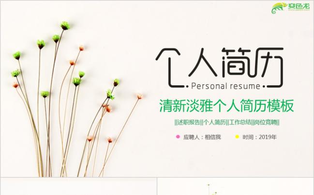 唯美清新小碎花个人简历求职述职报告动态PPT模板缩略图