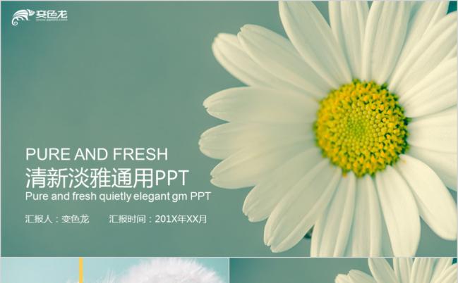 简约清新蒲公英教育说课PPT模板缩略图