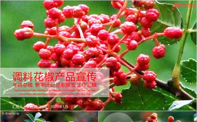 简约淡雅调理品花椒产品宣传介绍述职报告PPT模板缩略图