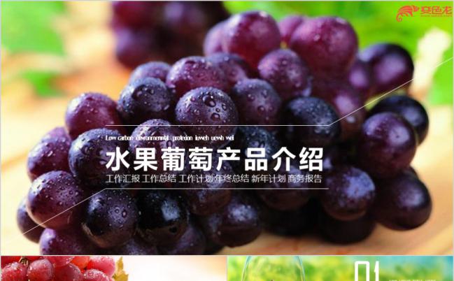 简洁实用水果葡萄产品介绍通用PPT模板缩略图