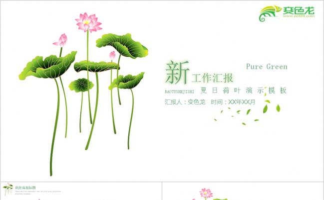 清新荷花绽放工作汇报PPT模板缩略图