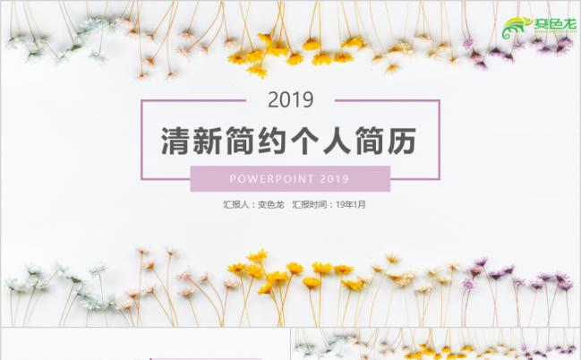 简洁小清新花卉风简约实用个人简历求职报告PPT模板缩略图