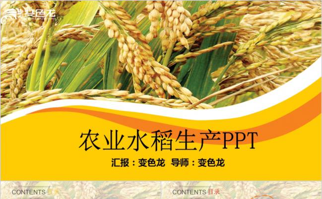 精致实用简约风农业水稻生产工作总结PPT模板缩略图