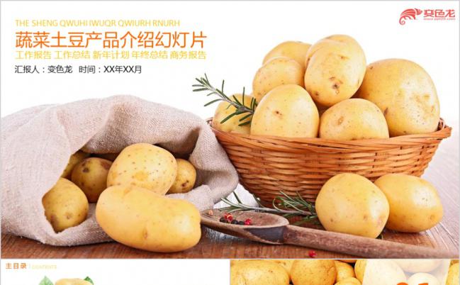 简洁实用蔬菜土豆产品介绍通用PPT模板缩略图