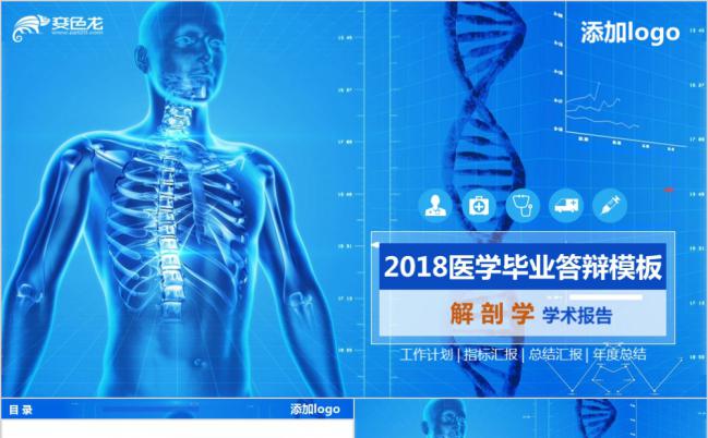 2019年医学专业解剖学毕业答辩开题报告PPT模板缩略图