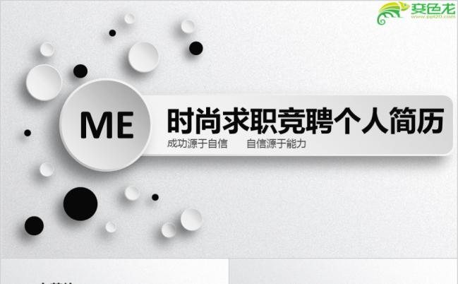 2019年时尚黑白微粒体个人竞聘应聘简历报告PPT模板缩略图