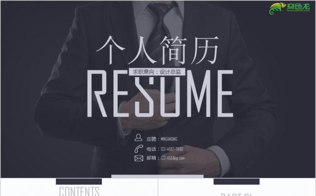 完整框架实用设计总监求职个人简历述职报告PPT模板缩略图