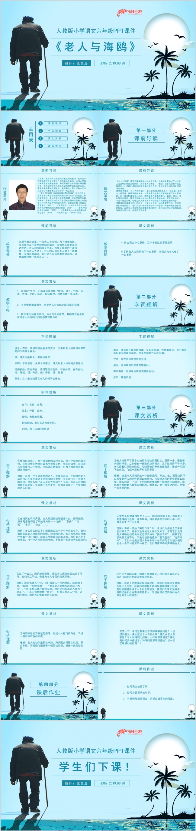 【课件PPT】-人教版语文六年级老人与《海鸥》