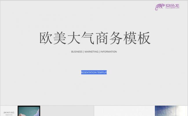 欧美风商务多页商务通用PPT模板缩略图