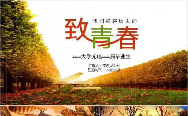 致青春落叶泛黄毕业纪念相册PPT模板缩略图