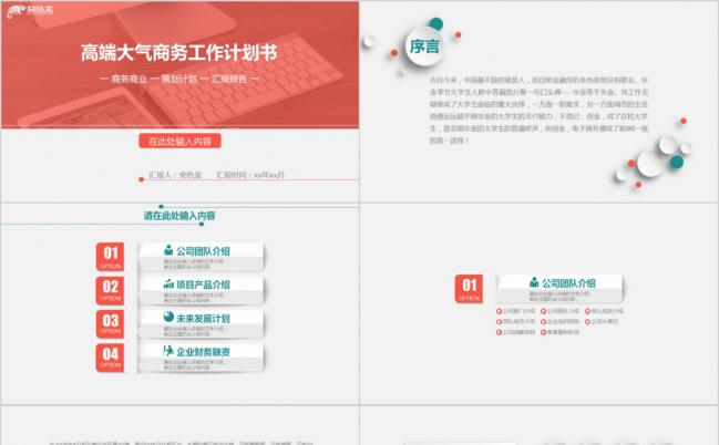 高端大气微粒体商务工作总结PPT模板缩略图