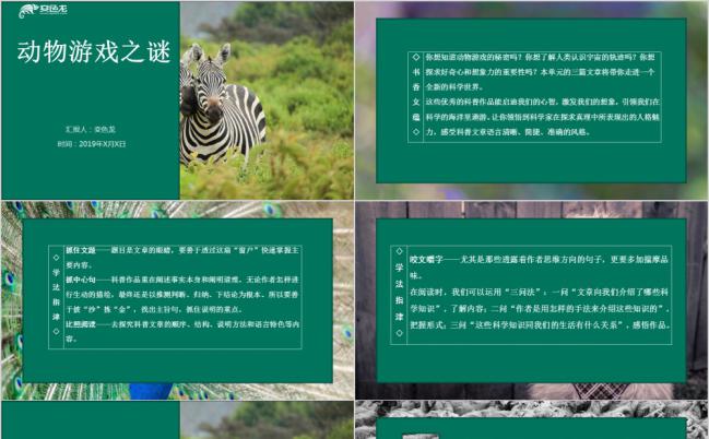 动物游戏之谜培训课件PPT模板缩略图