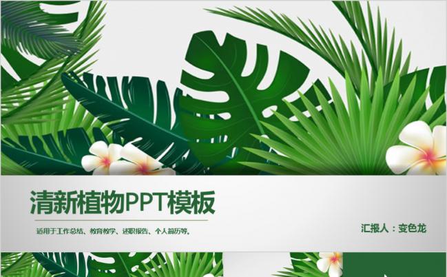 极简清新植物工作总结述职报告通用PPT模板缩略图