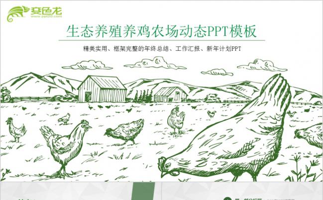 生态养殖养鸡农场动态PPT模板缩略图