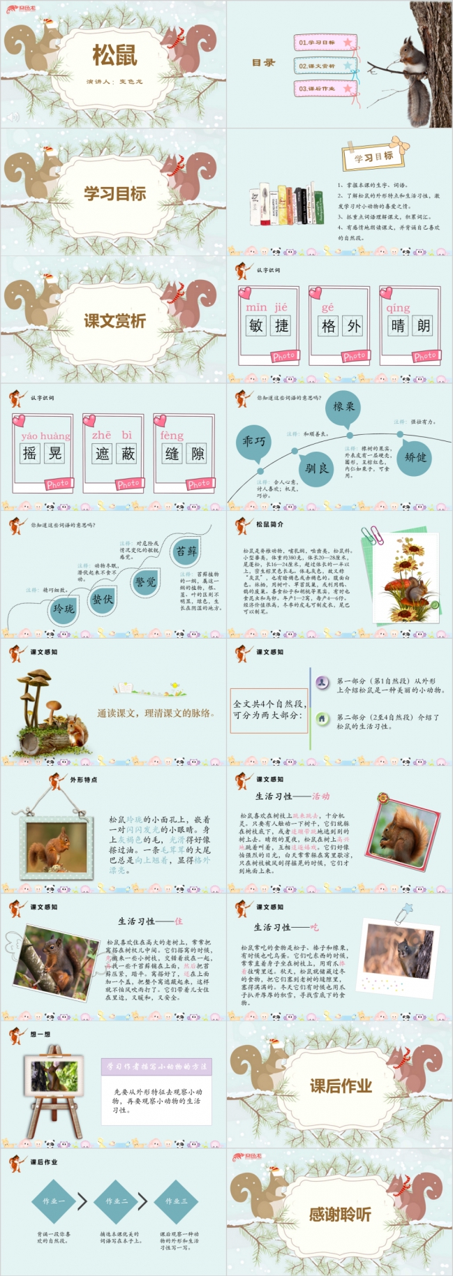 卡通儿童学习了解松鼠课件通用PPT模板