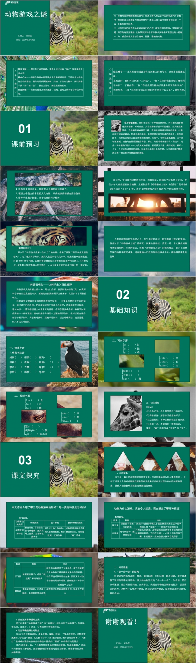 动物游戏之谜培训课件PPT模板
