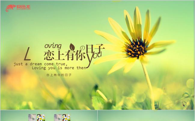 唯美小清新情侣电子相册动态展示PPT模板缩略图