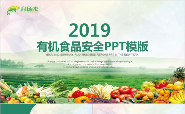 绿色简约有机食品安全演示通用PPT模板缩略图