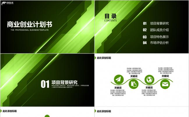 极光绿特色商业创业融资计划书PPT模板缩略图