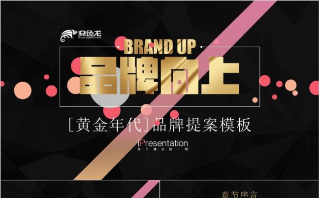 品牌向上黑金大气品牌提案PPT模板缩略图