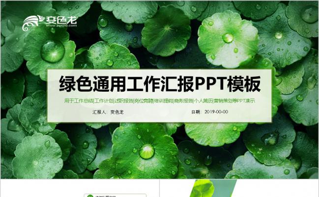 绿色荷叶清新工作计划总结岗位竞聘培训通用动态PPT模板缩略图