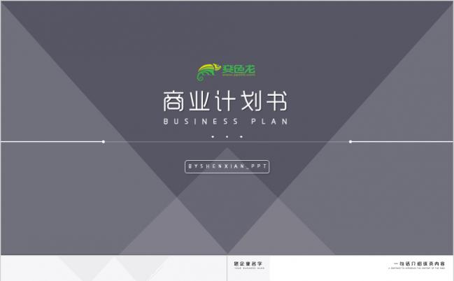高端简约棕色商业计划书PPT模板缩略图