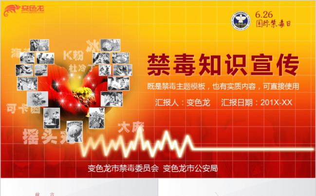 红色简约实用禁毒知识宣传PPT模板缩略图
