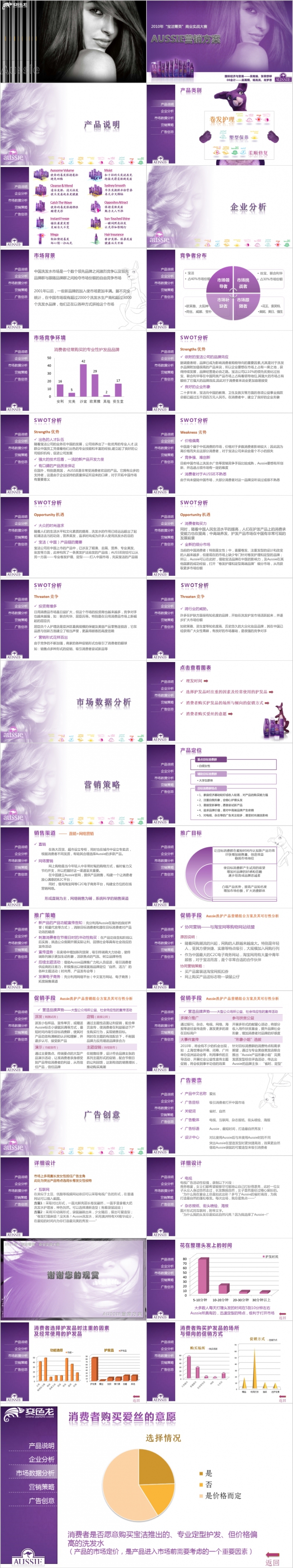 紫色aussie营销方案项目说明书PPT模板