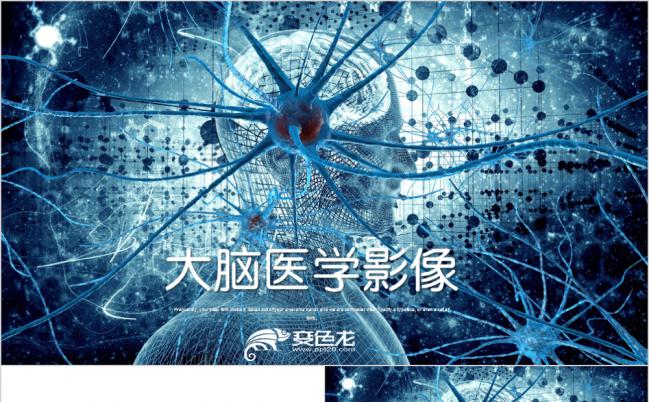 极简蓝色大脑医学医疗影像研究PPT模板缩略图