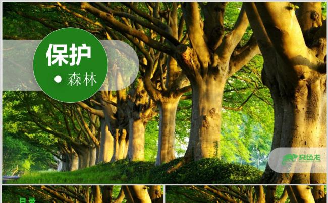 保护森林绿色教学退耕还林工作汇报PPT模板缩略图