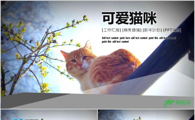 清新文艺可爱猫咪工作汇报PPT模板缩略图