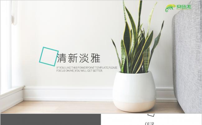 清新风入职培训团队建设ppt模板缩略图
