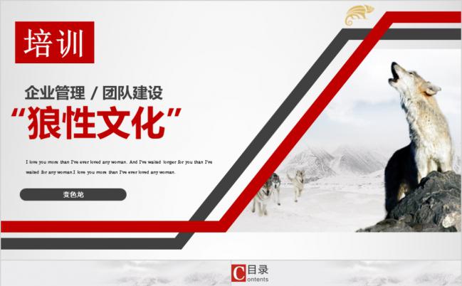 狼性文化狼道精神员工培训管理PPT模板缩略图