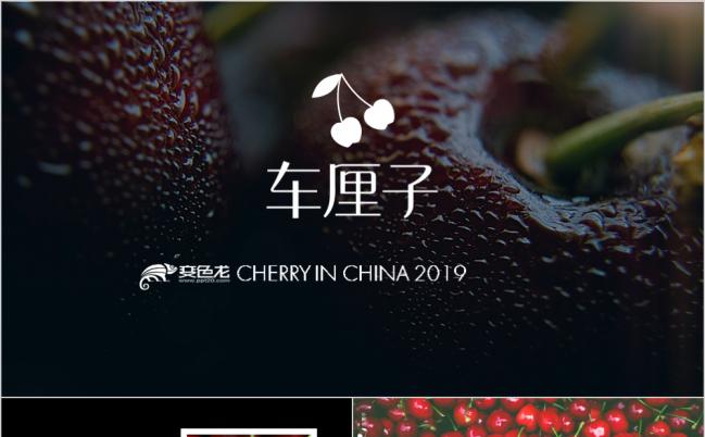 精美实用车厘子樱桃水果商业计划书PPT模板缩略图