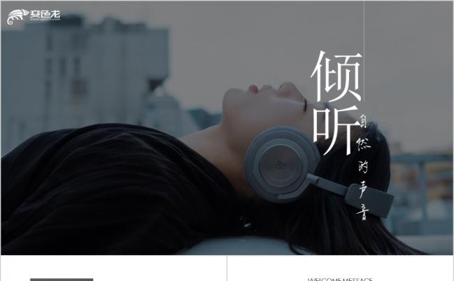 唯美清新音乐用品商业计划书PPT模版缩略图