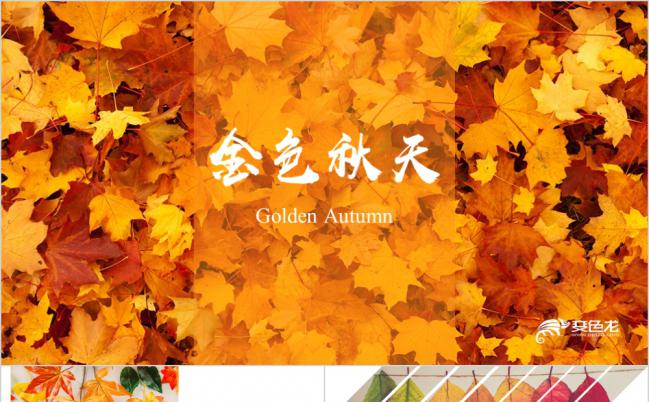 清新田园邂逅秋天PPT模板缩略图