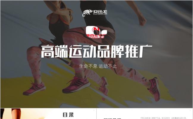 2019年高端时尚体育运动品牌营销策划宣传推广PPT模板缩略图