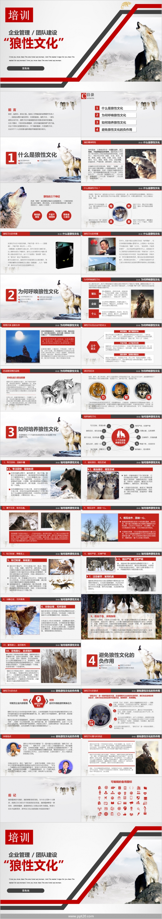 狼性文化狼道精神员工培训管理PPT模板