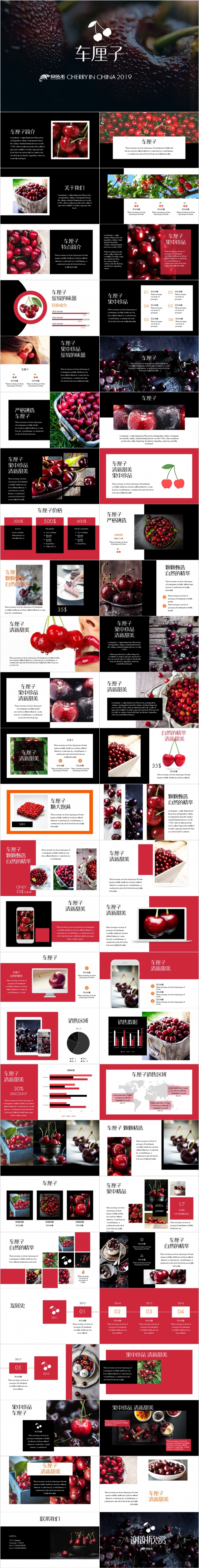 精美实用车厘子樱桃水果商业计划书PPT模板