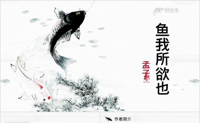 简约实用语文鱼我所欲也动态ppt模板