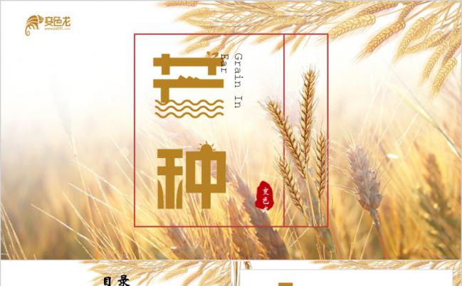 传统节日二十四节气中国风芒种主题班会ppt模板缩略图