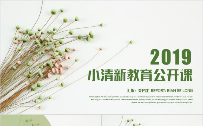 2019韩范小清新教育教学公开课培训课件PPT模板缩略图