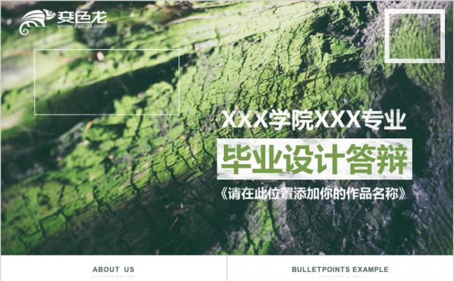  小清新毕业答辩设计文艺环境专业PPT模板缩略图