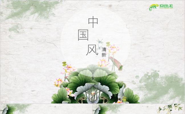 清新淡雅荷花中国风工作总结报告PPT模板缩略图