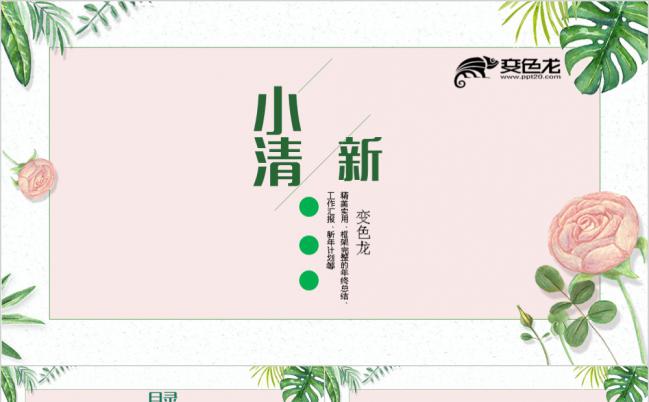 2019精美时尚小清新工作汇报暨新年计划PPT模板缩略图