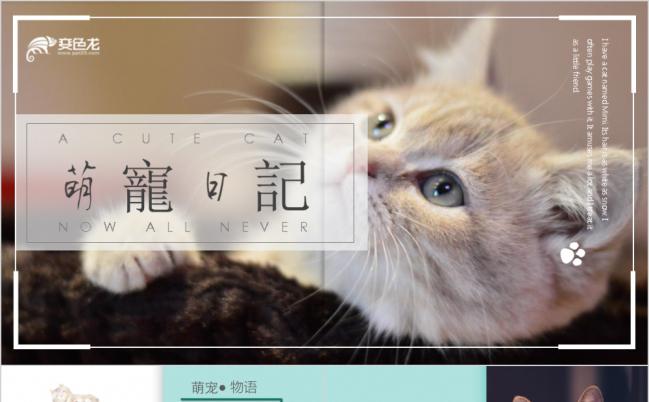 萌宠系列猫咪宠物相册PPT模板缩略图